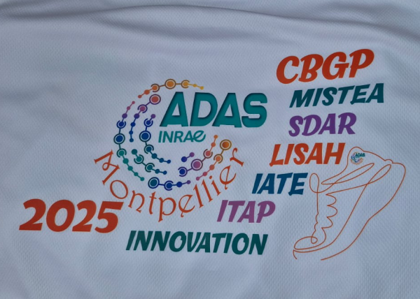 logo marathon